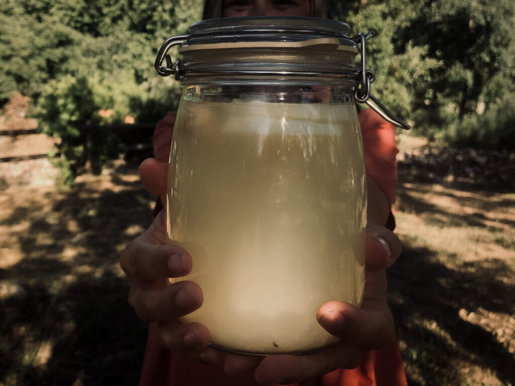 Wasserkefir-Limonade in einem Bügelglas