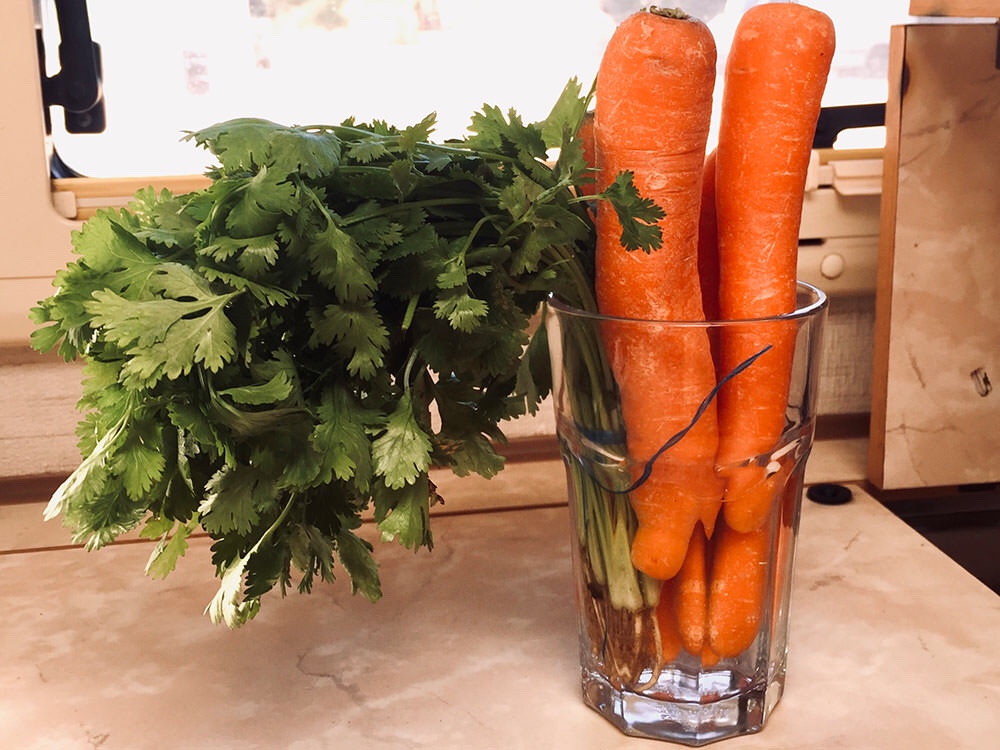 Lebensmittellagerung: Karotten halten sich länger, wenn sich feucht gelagert werden