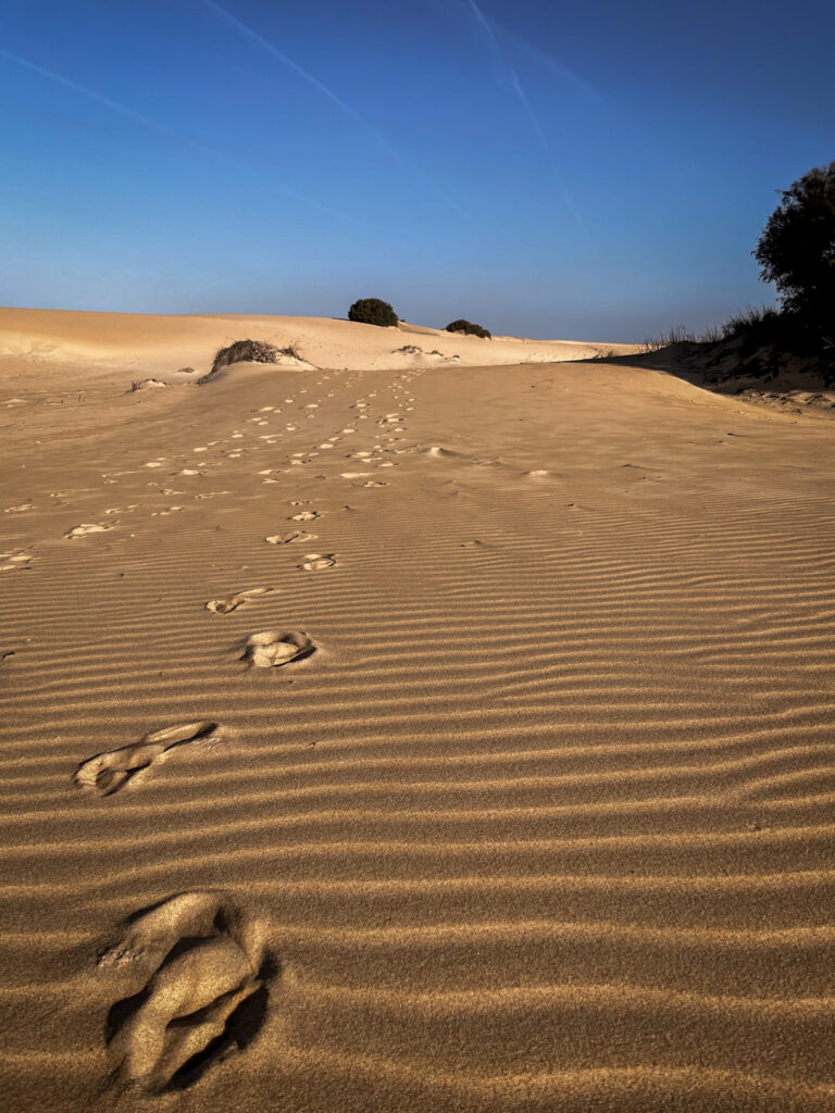 Wandern auf Sand